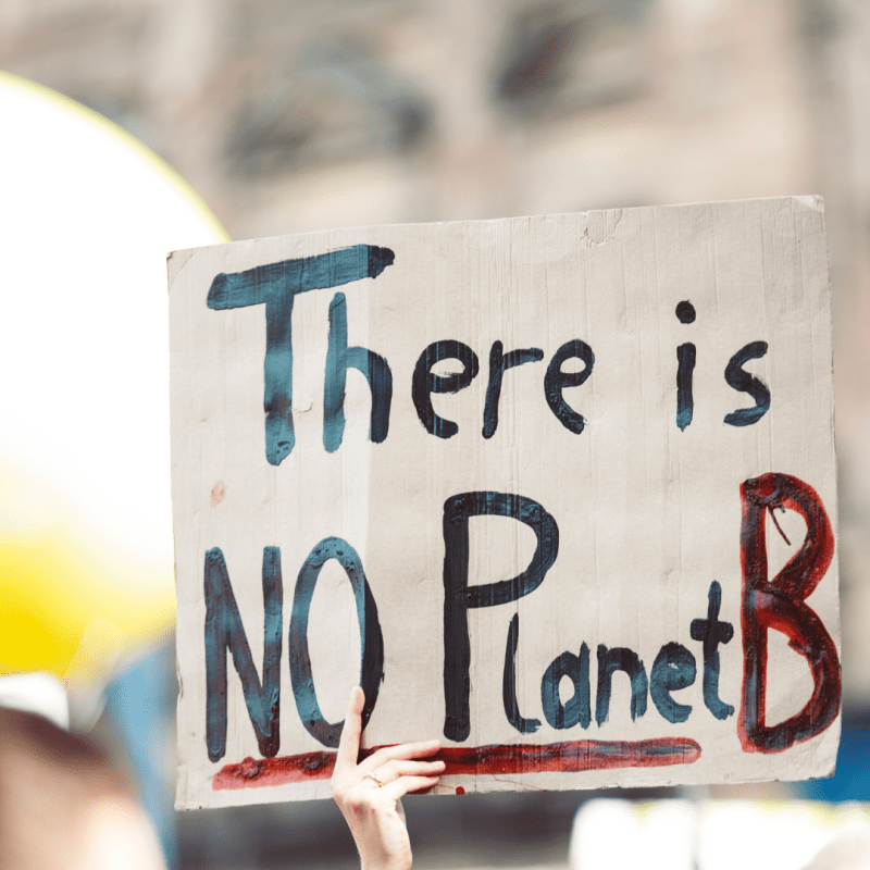 Women and the Environment: Why More Women are Needed in the Fight Against Climate&nbsp;Change